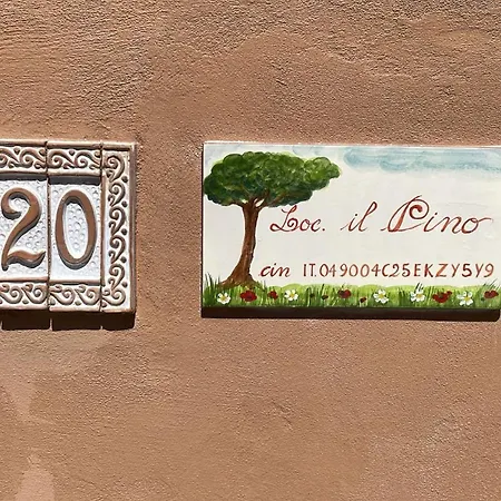 Il Pino *