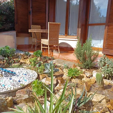 Il Pino Appartement *